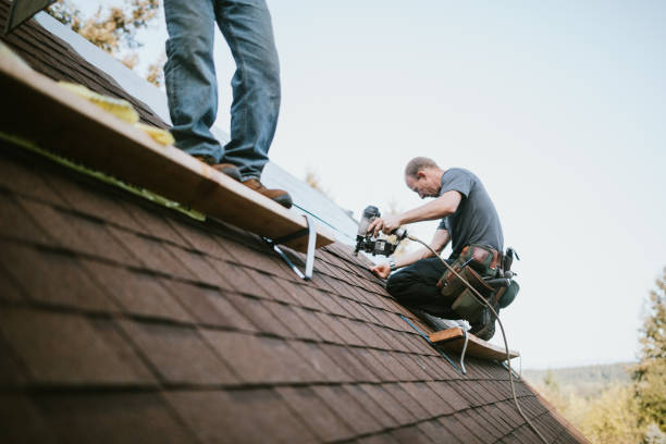 Best Roof Coating and Sealing  in Crookston, MN